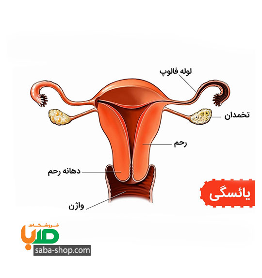 درمان یائسگی زودرس