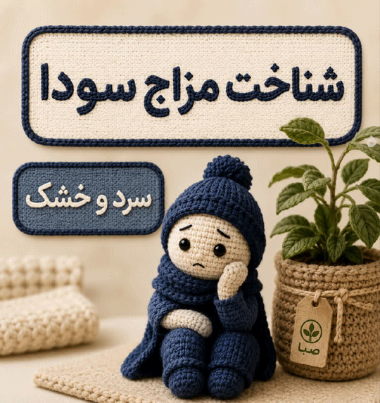 آموزش شناخت مزاج سودا